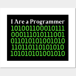 i are programmer Posters and Art